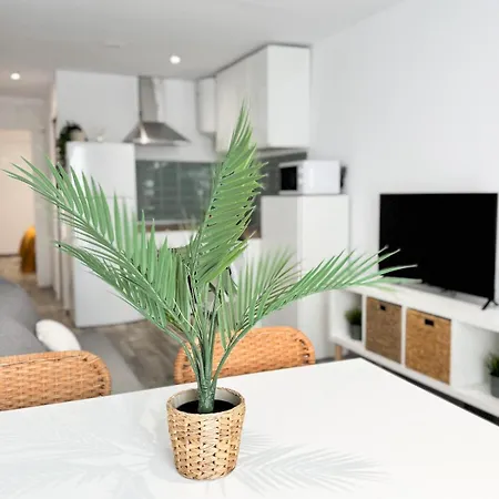 Apartment La Sal Centro San Fernando